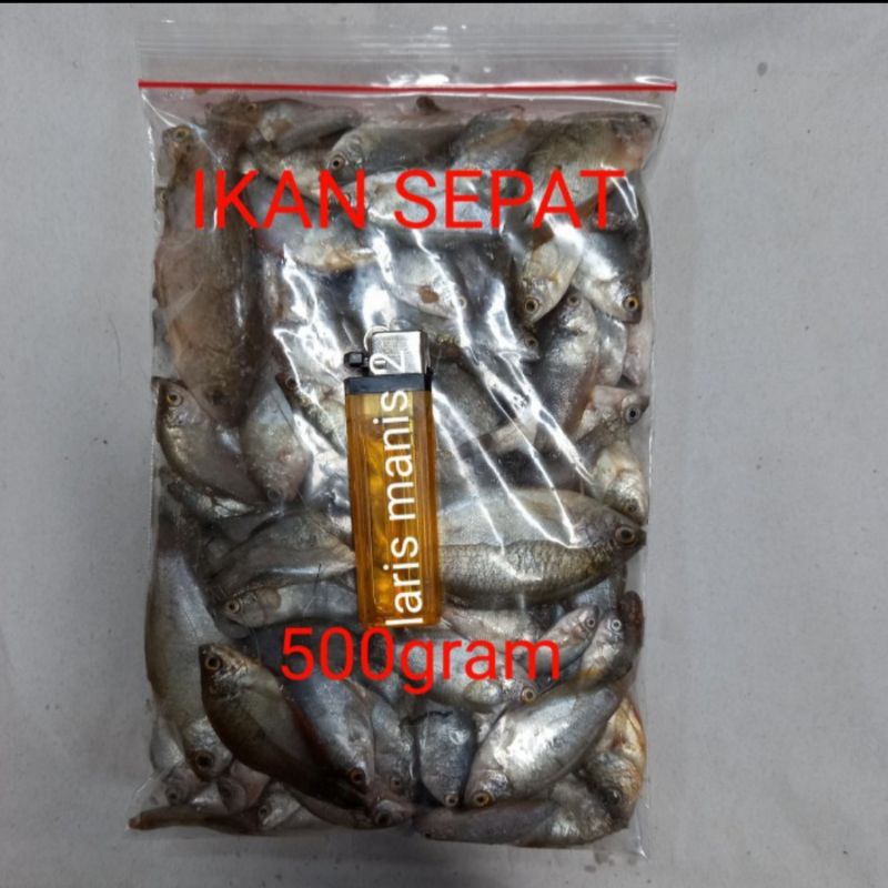 

Ikan sepat