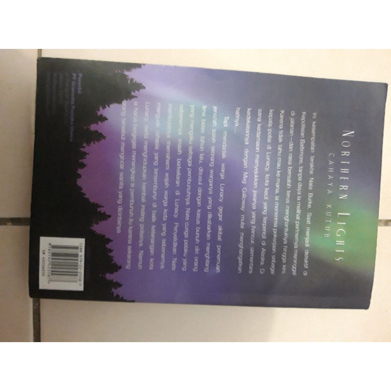 Novel  Dewasa Northern Lights ; Cahaya Kutub By Nora Roberts-1