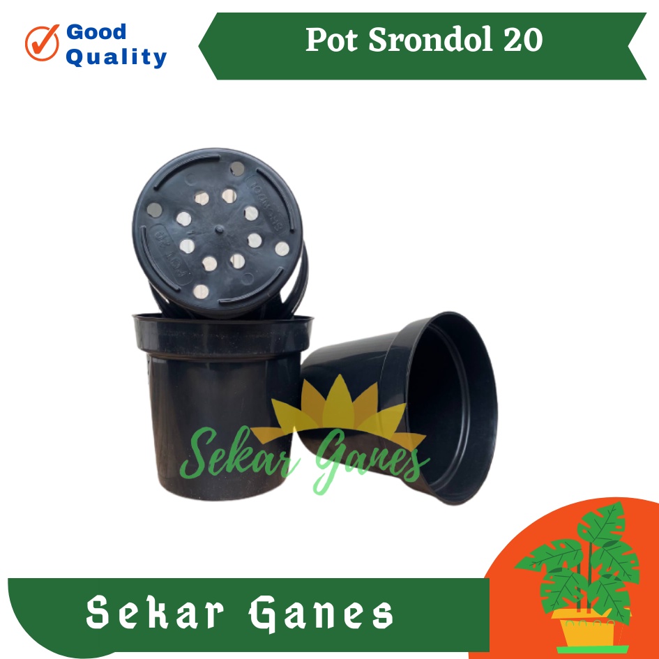 Pot Tinggi Srondol 20 Hitam - Pot Tinggi Usa Eiffel Effiel 18 20 25 Lusinan Pot Tinggi Tirus 15 18 20 30 35 40 50 Cm Paket murah isi 1 lusin pot bunga plastik lusinan pot tanaman Pot Bibit Besar Mini Kecil Pot Srondol 15