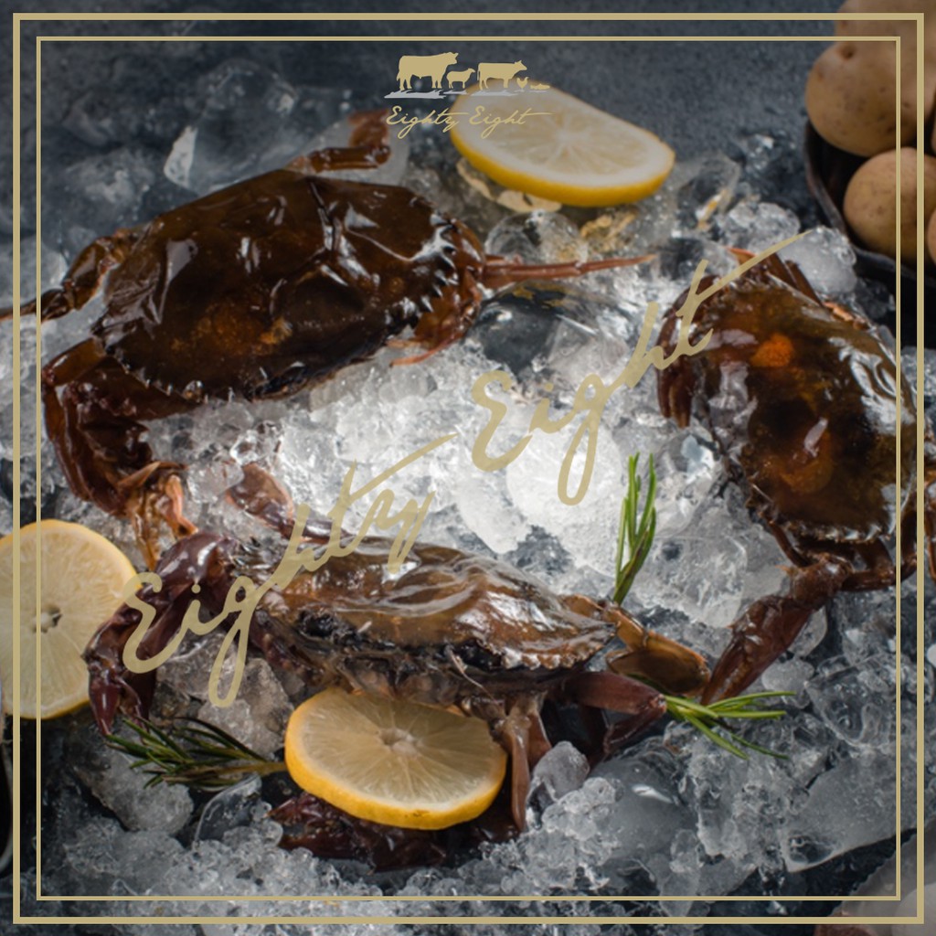 

KEPITING / KEPITING SOKA