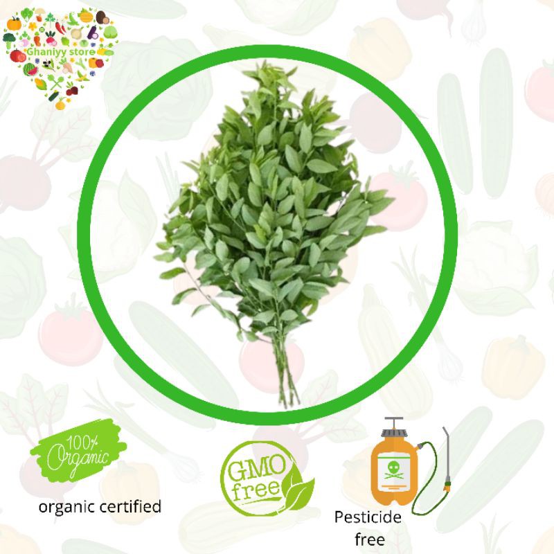 

sayur organik - daun katuk 250 gram