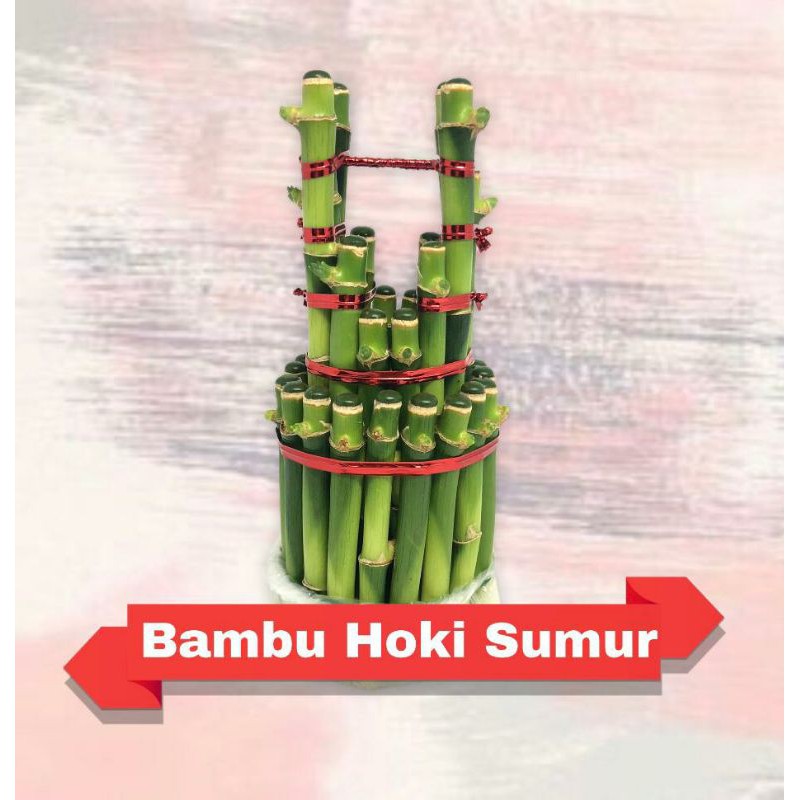 Bambu Hoki Murah