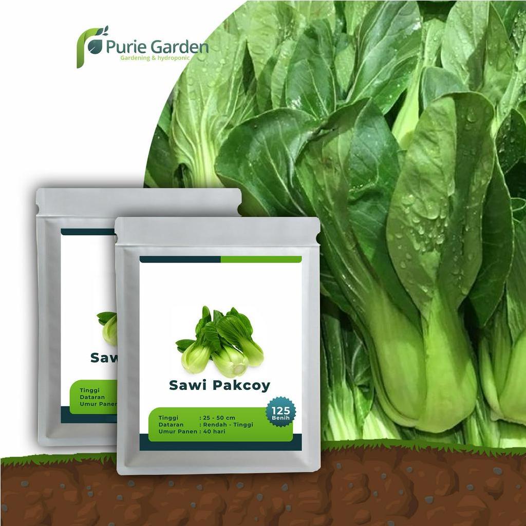 Benih Bibit Biji Unggul Sawi Pakcoy 125 Benih PG KDR