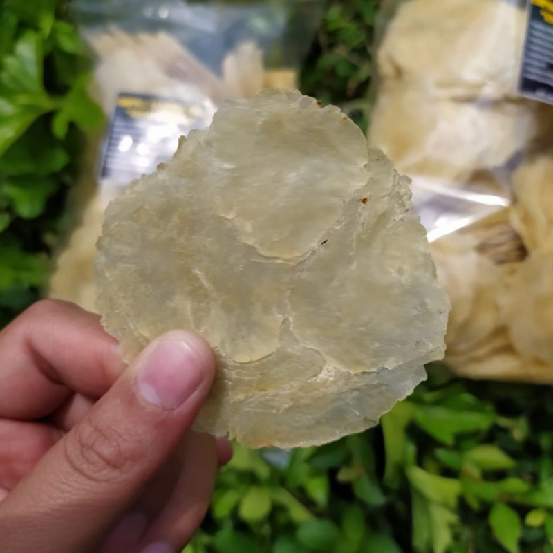

Piscoklegit_ Emping Melinjo Mentah Agak Lebar ( Lb ) 1/2Kg Khas Limpung