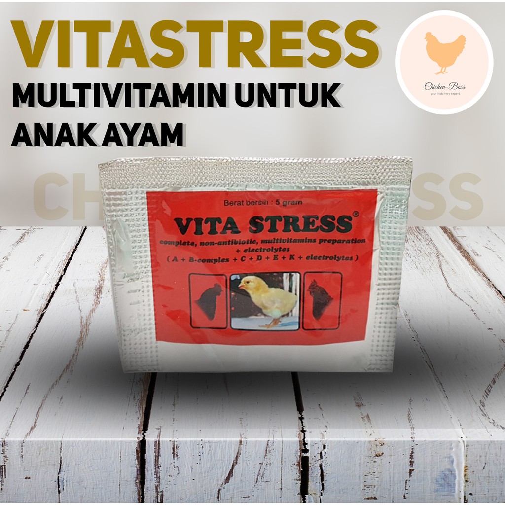 Vita Stress untuk Anak Ayam Burung dan Bebek