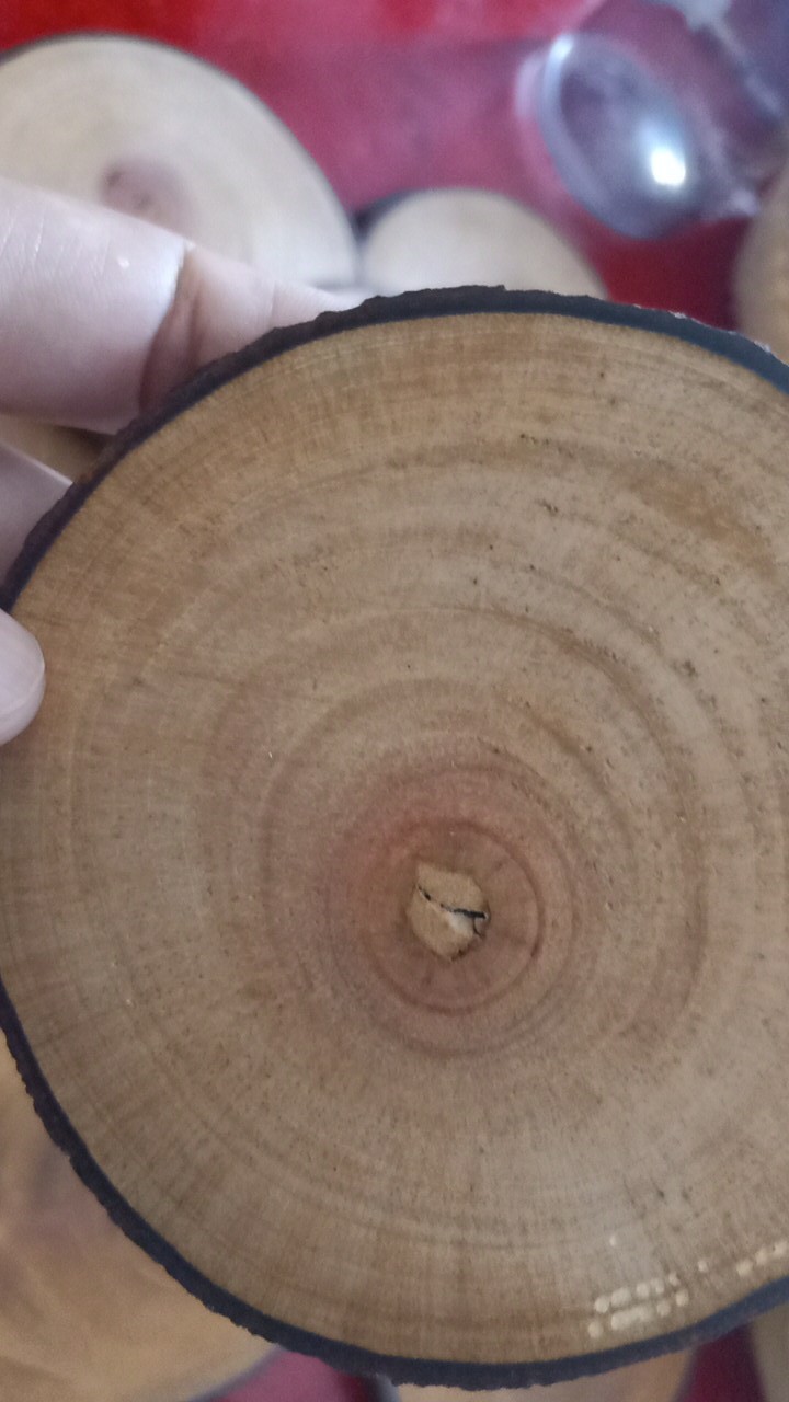 Dekornata Wooden Slice 10-14 Cm / Wood Slice/ Potongan Kayu Decor/alas Cangkir / Dekornata