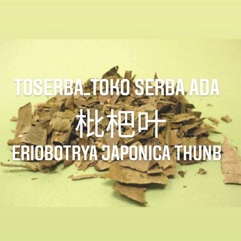 

100gr Herbal Pi Pa Ye 枇杷叶 Eriobotrya Japonica Premium Grade