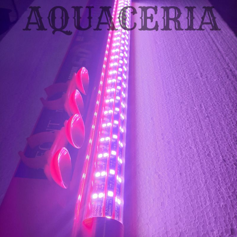 LAMPU LED TANNING AROWANA RECENT SUPER KTK 79 99 119 149 179 SFC 5D LAMPU LED AQUARIUM