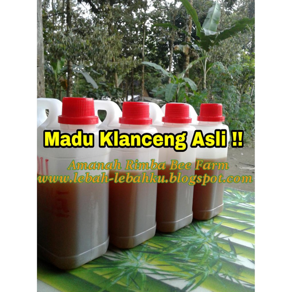 

Murah Meriah!! Madu Klanceng Trigona Sp Lanceng Atau Kelulut Rasa Manis Asam Pahit Asli Murni Area