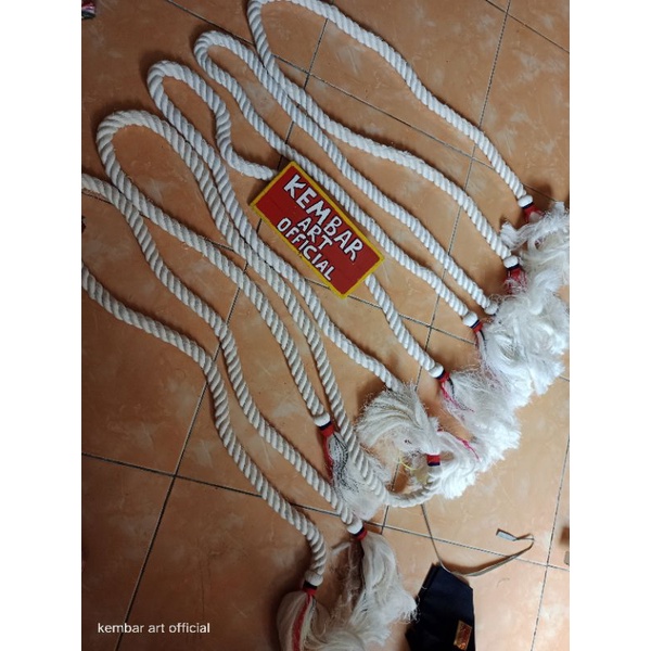 tali kolor warok / tali warok