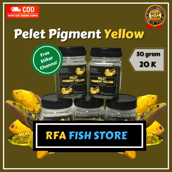 Pelet Pigment Yellow  Kualitas Premium Untuk Pakan Ikan Predator Channa Varian Yellow Maru, Asiatica, Auranti. Bukan Pelet el barca, Bang Fish, Fajar Arief