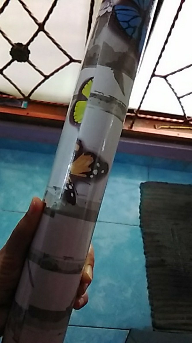 Wallpaper Kupu Kupu 10 M X 45 Cm [ Cy 1053 ]