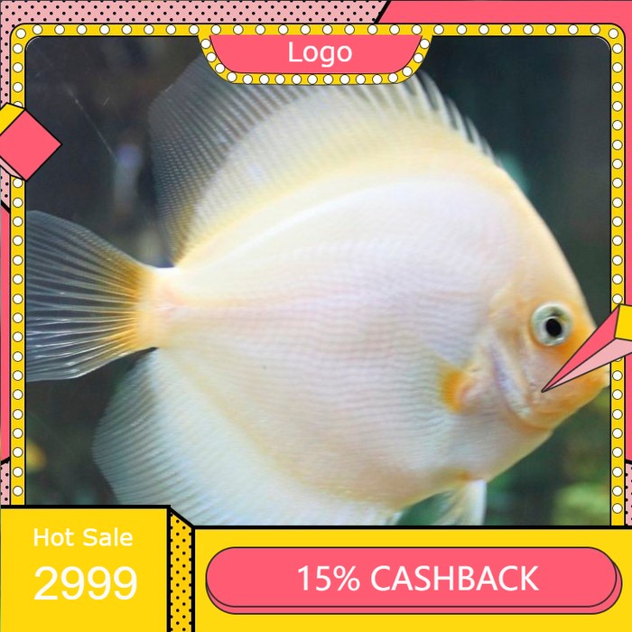 discus White diamond 1 inch.