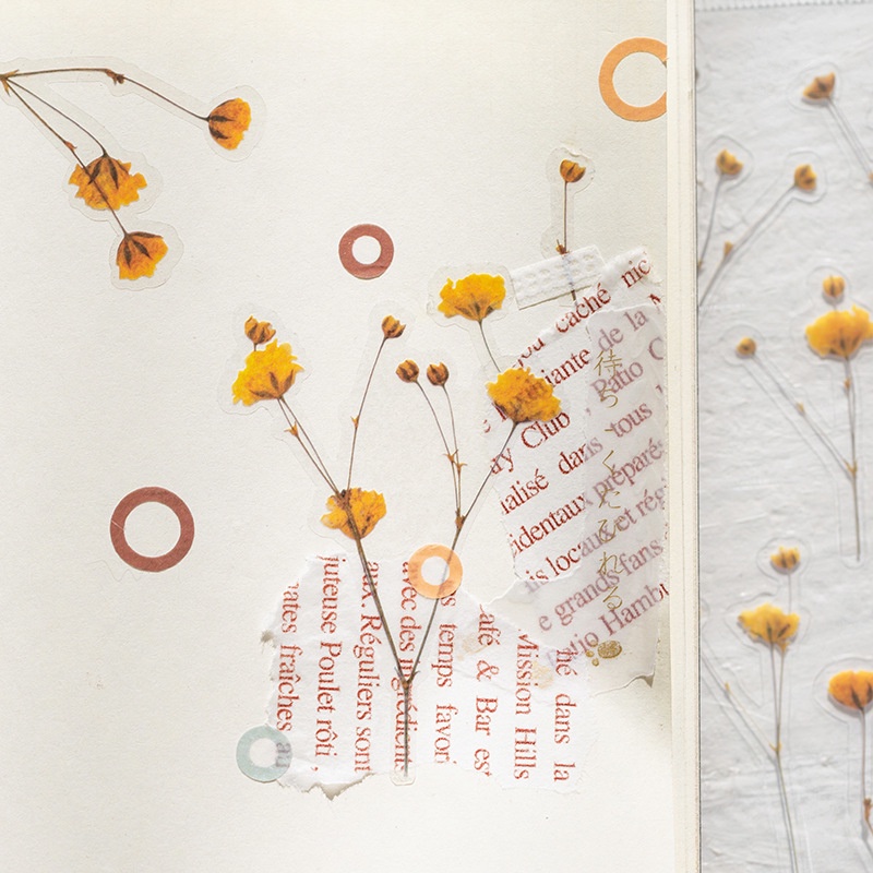 [1Pcs Designs Natural Daisy Plant Words Stickers] [Transparent PET Material Flowers Leaves Plants Deco Stickers]
