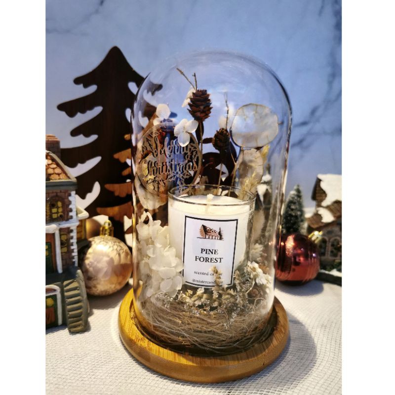 

Christmas Pine Dome | Christmas Gift | Hadiah Natal
