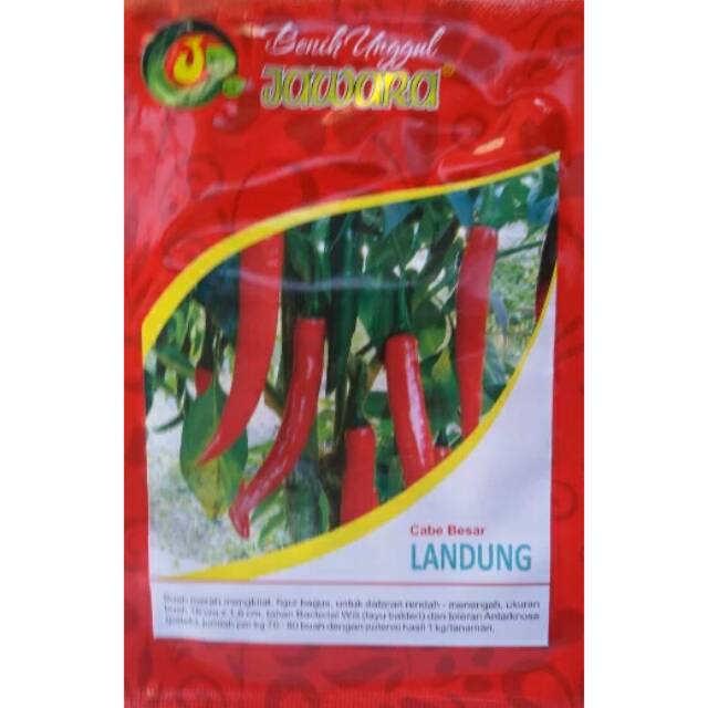 Jawara benih cabe besar landung 5 gr