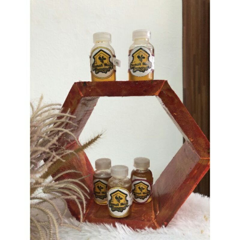 

madu kelulut mini