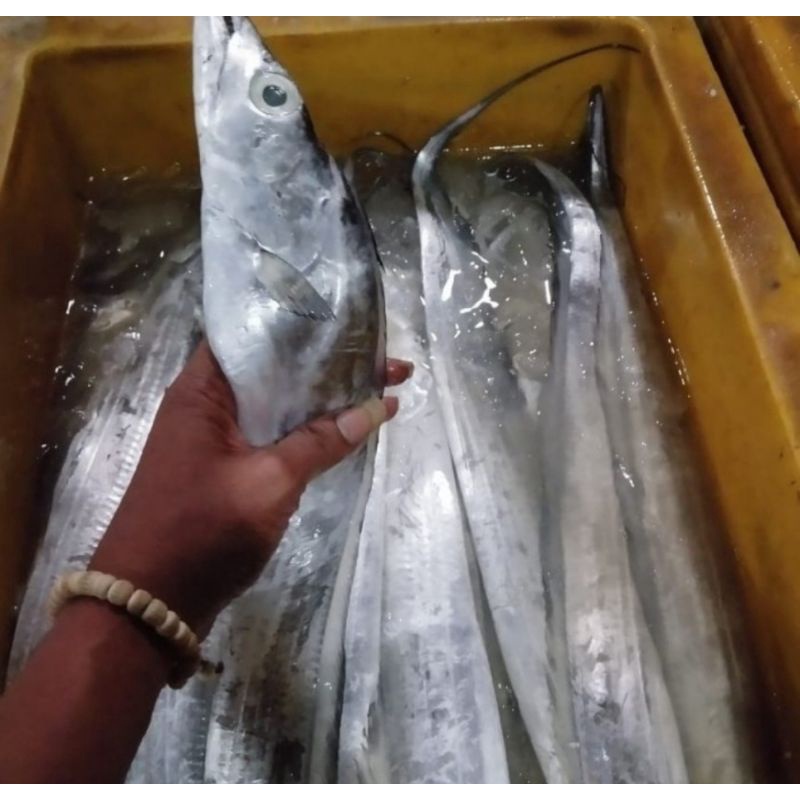 

Ikan Layur Fresh 1kg