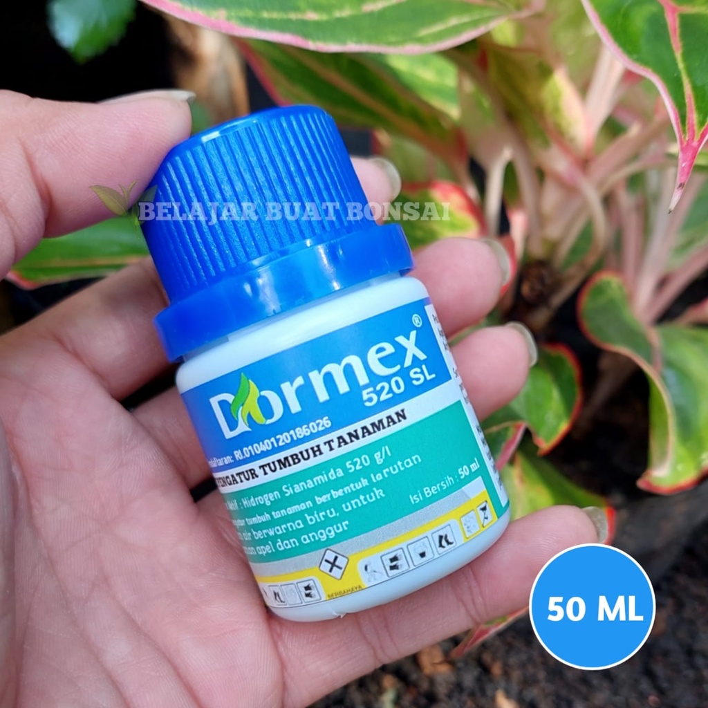 Dormex 520SL Hidrogen Sianamida ZPT Apel Anggur Germany