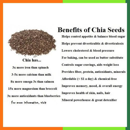 

Natural Black Chia Seed 250Gr