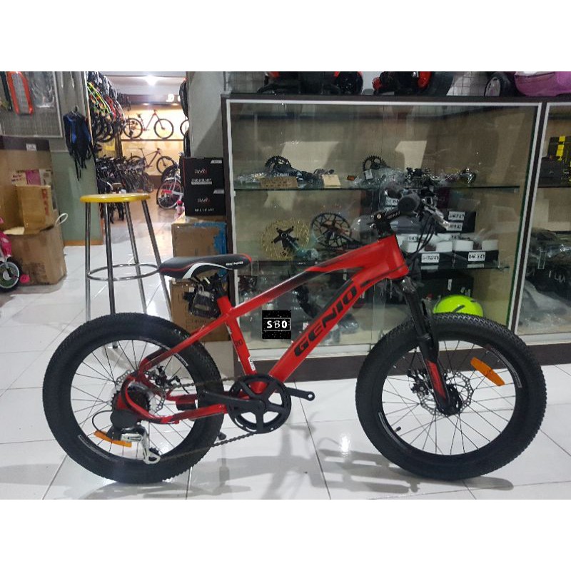 Sepeda MTB Genio Salzburg 20 inch