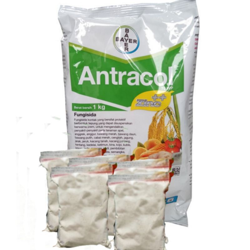 FUNGISIDA ANTRACOL / Obat Jamur Fungisida ANTRACOL 70WP kemasan ekonomis
