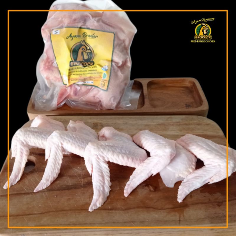 

Sayap-Brocock-Broiler-Free-Range-Alami-Sehat