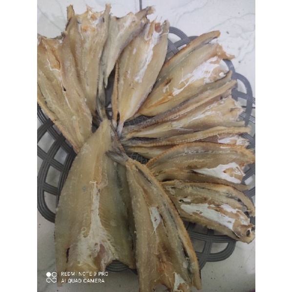 

Ikan Asin Kacang-kacang 1 Ons