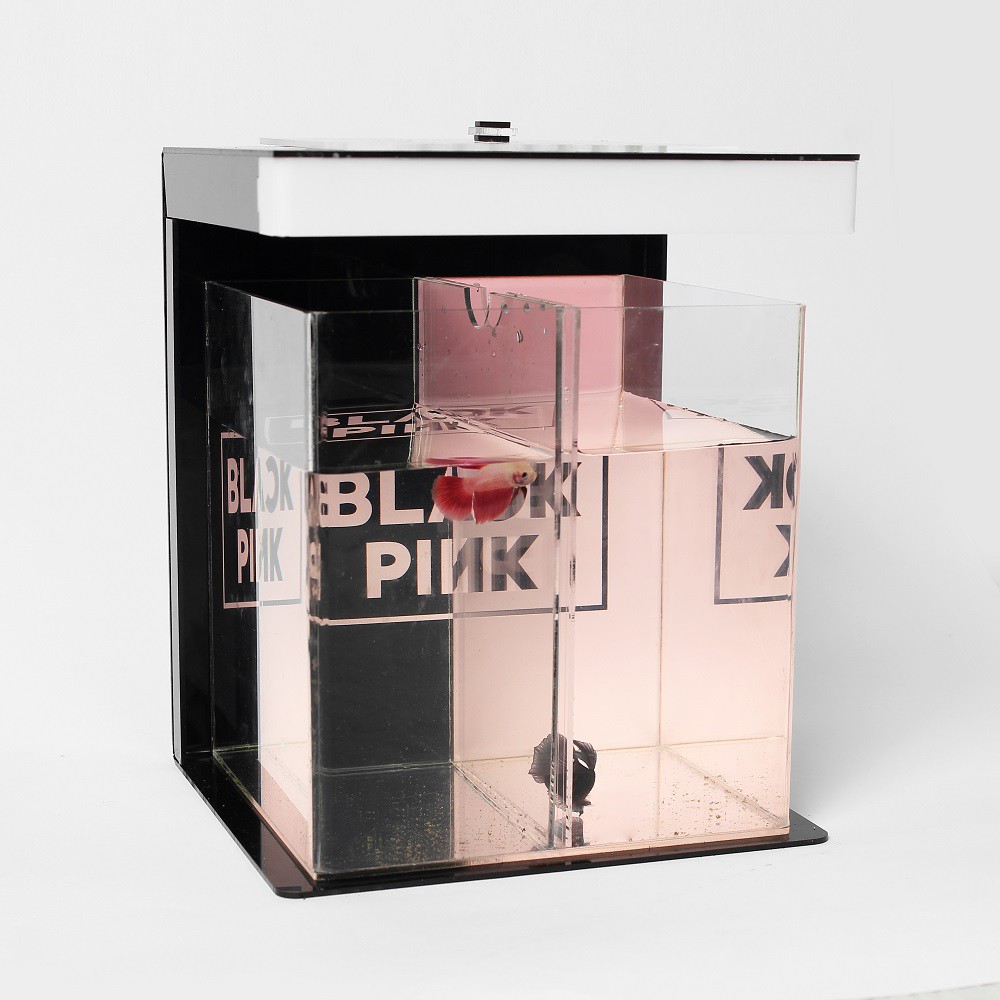 AKUARIUM BLACKPINK LAMPU / AKUARIUM AKRILIK / AKUARIUM CUPANG / SOLITER SELFIE / SOLITER AKRILIK