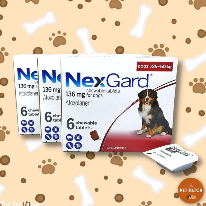TERBARU Nexgard Obat Kutu Anjing / Demodex XL (25-50 kg)