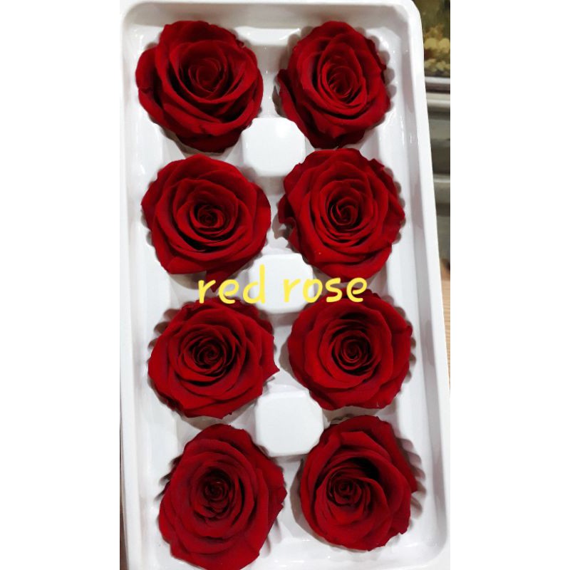 Rose preserved 8 kuntum