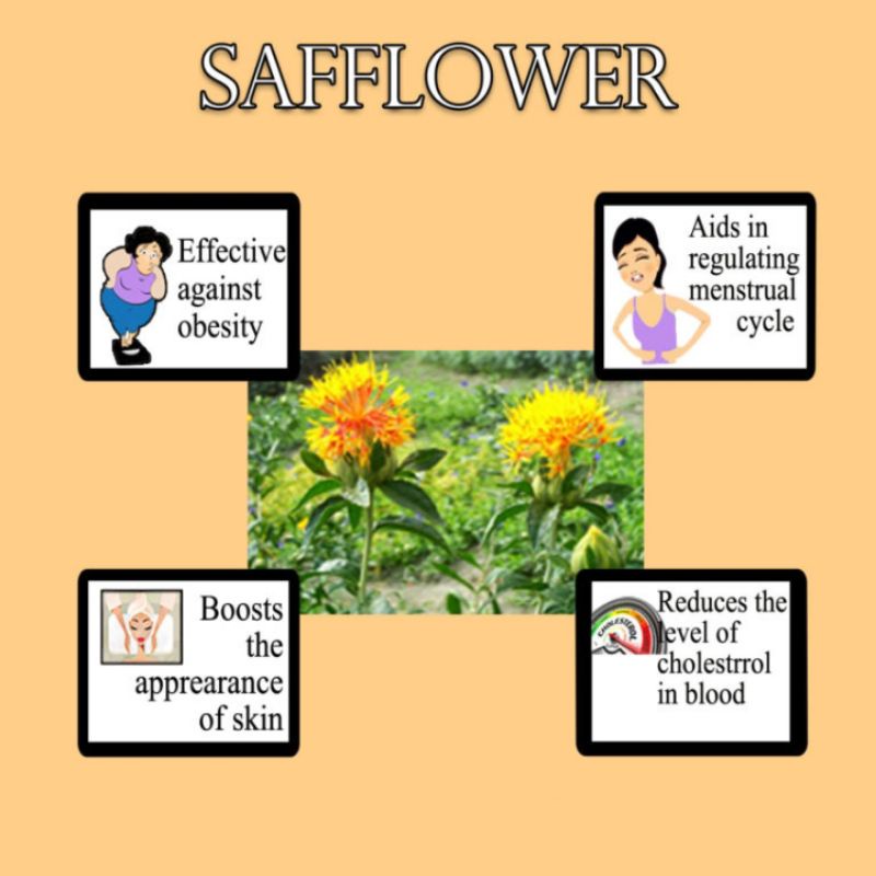 SAFFLOWER TEA : TEH BUNGA SAFFLOWER (30 TEA BAG)