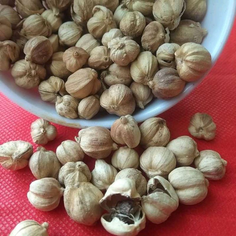 

Kapulaga kering 100 gram