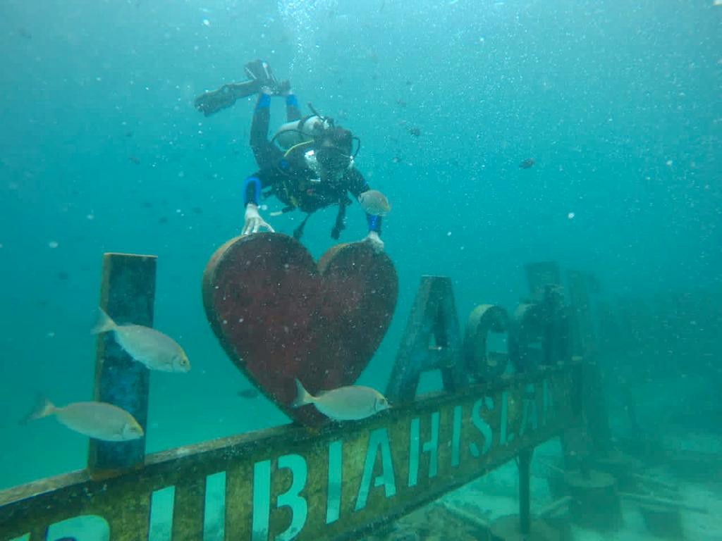 Wandakiah Season 16 | Wdk 16.15