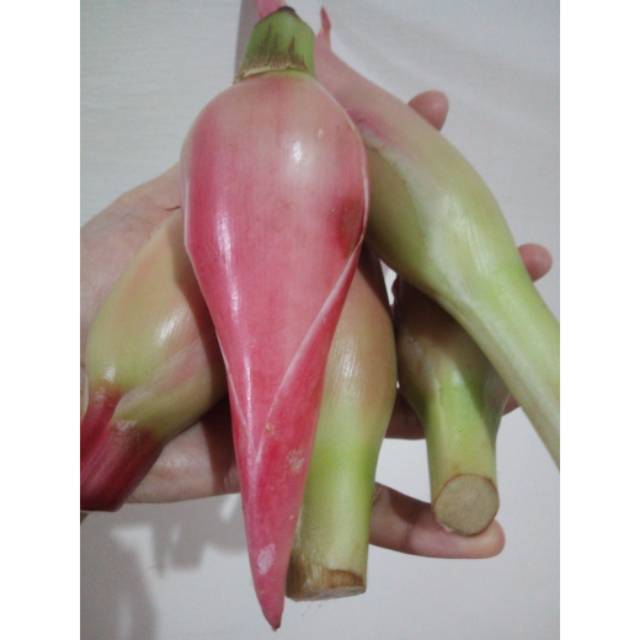 

ANMART | 250gr Kecombrang/Kincong | Sayur Online | Sayur Segar