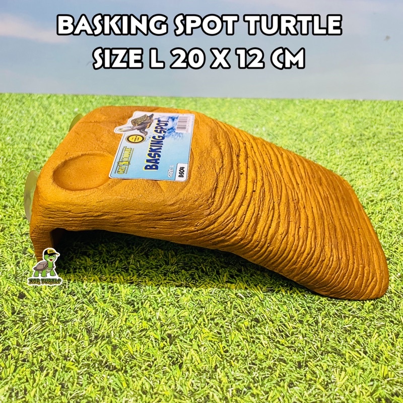 BASKING SPOT TURTLE SIZE L TANGKRINGAN KURA AIR RES ALBINO CST AST KURA DARAT SULCATA PARDALIS XDR