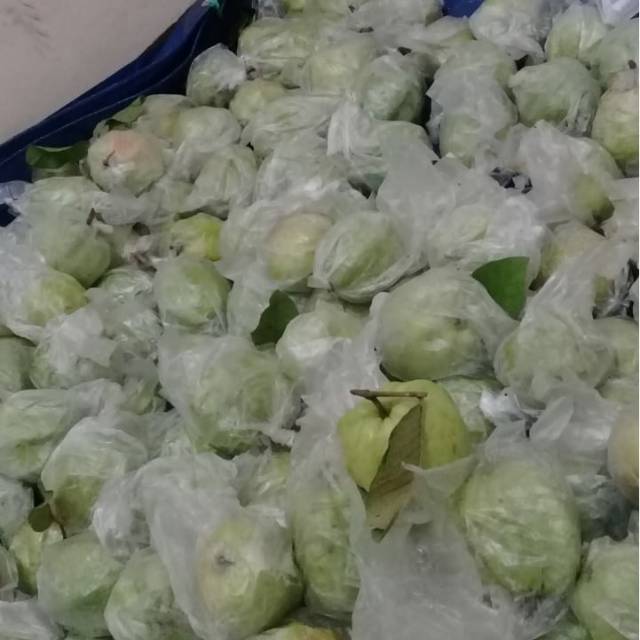 

Jambu Kristal Non Biji