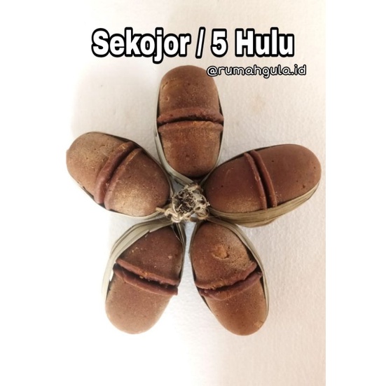 

GULA AREN ASLI LEBAK BANTEN 1 KOJOR / 5 hulu