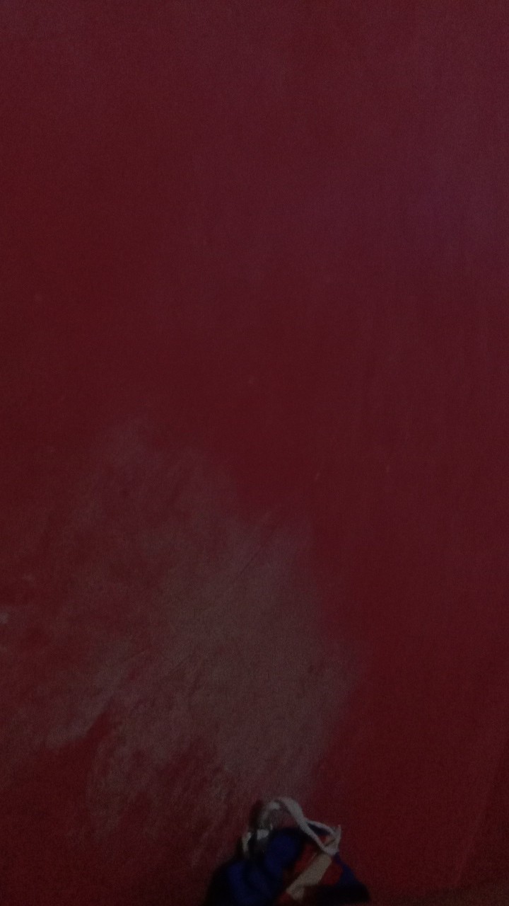 Sarung Tangan Anti Potong / Cut Resistant Glove Cg 835 Comet