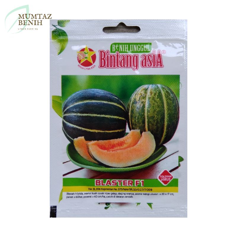 Benih Blewah Blaster F1 (Bintang Asia)