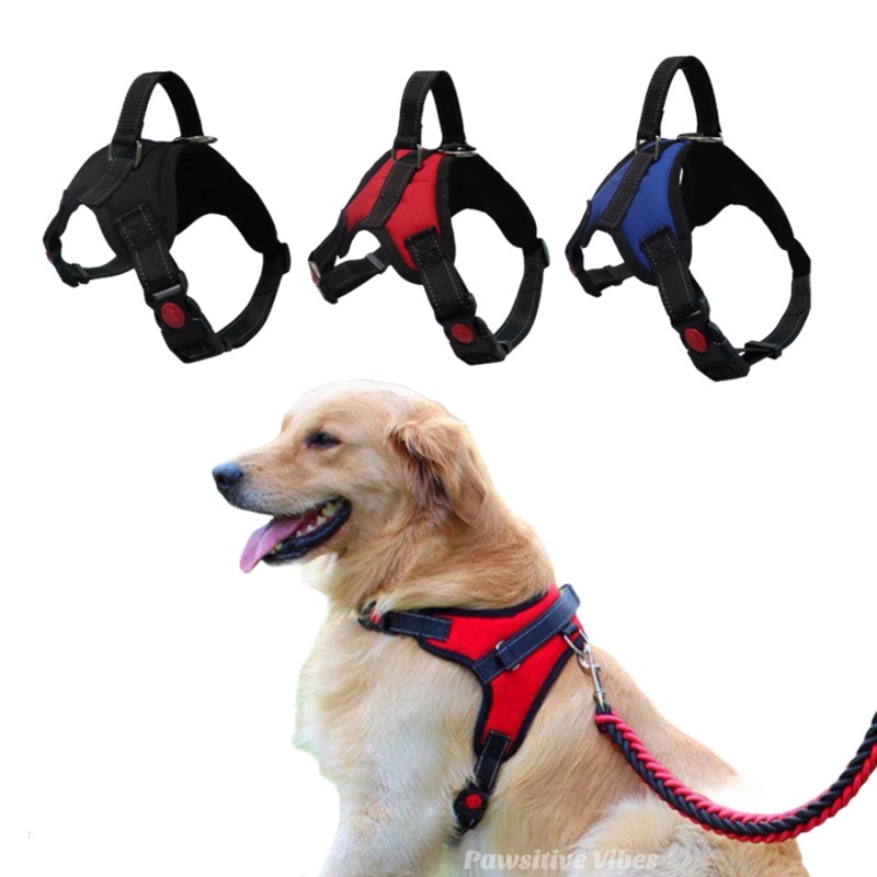 Rompi Anjing Besar Medium Breathable Harness Leash Anjing Besar Medium Pet Harness Dog Vest Shopee Indonesia