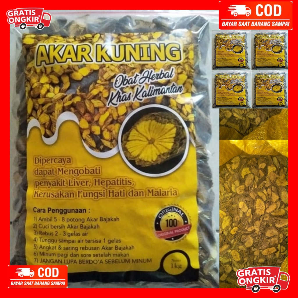 [GRATIS ONGKIR] AKAR BAJAKAH KUNING ORIGINAL ASLI KALIMANTAN SERTIFIKAT, KAYU BAJAKAH KUNING ASLI KA