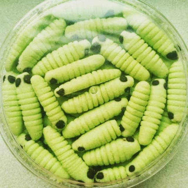 

Edisi lebaran kue ulet bulu