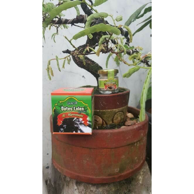 

DATES LOLEN ALHAROMAIN/SERBUK PUCUK BUNGA KURMA MUDA