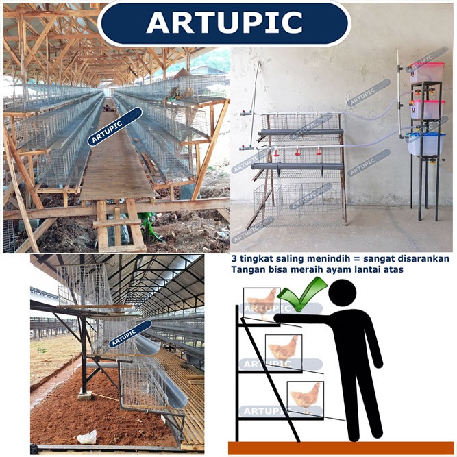 Kandang Ayam Petelur Baterai 4 Pintu Galvanise ARTUPIC 8 Ekor Ayam Layer Petelur Readystock Banyak