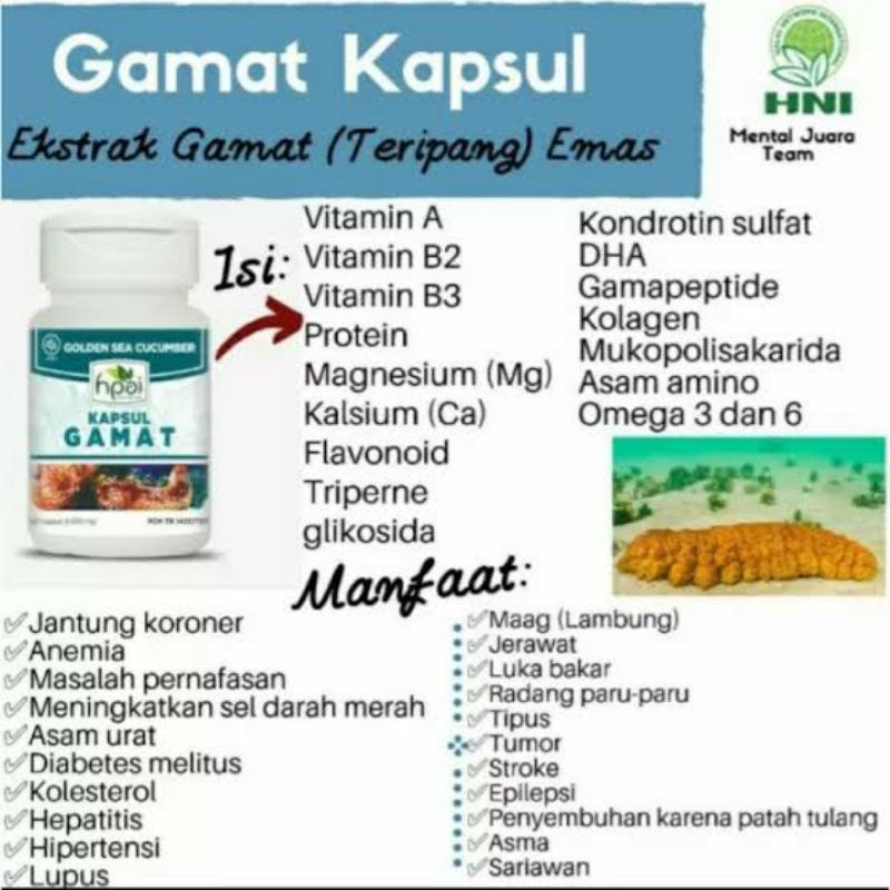 Gamat kapsul hpaii | obat sunat,patah tulang