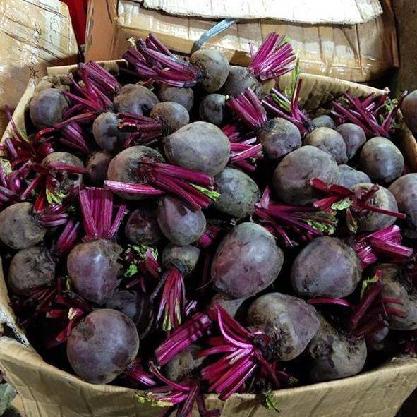 

ㅻ Buah bit mojokerto ☎