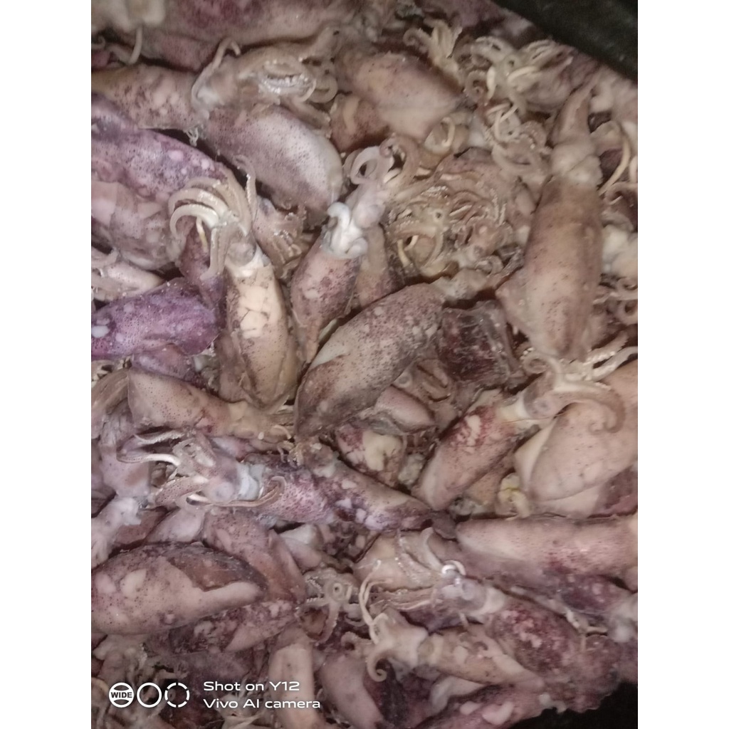 

Cumi asin isi 100 gram