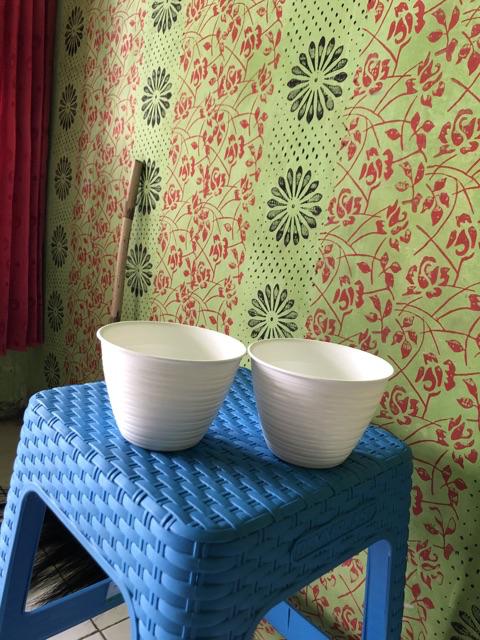 Pot Tawon 12 Cm Untuk Tanaman