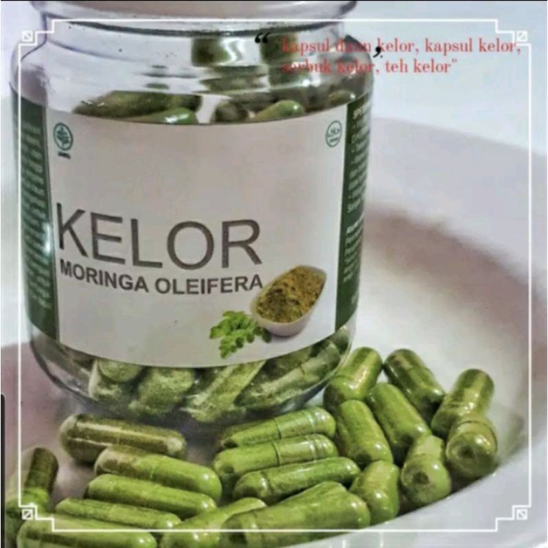 Daun Kelor / moringa Oleifera 100